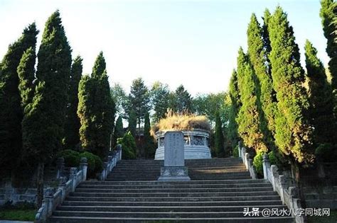 樹葬 風水|【樹葬風水】樹葬風水：陰宅安頓事關後代運勢，讓你一次看懂！。